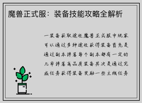 魔兽正式服：装备技能攻略全解析